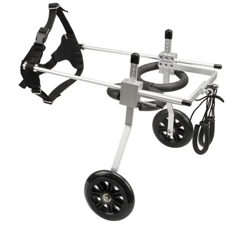 Dog wheelchair mobility - wheelchair,