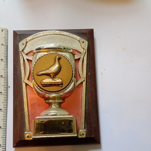Pigeon racing trophy no - trophy,