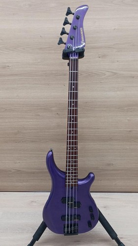 Fernandes series electric - fernandes,