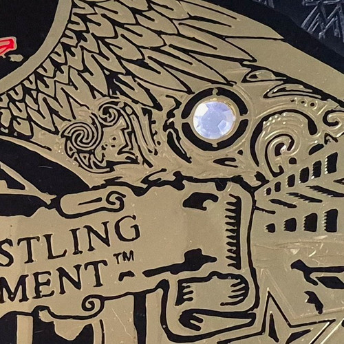 Official wwe undisputed - official,