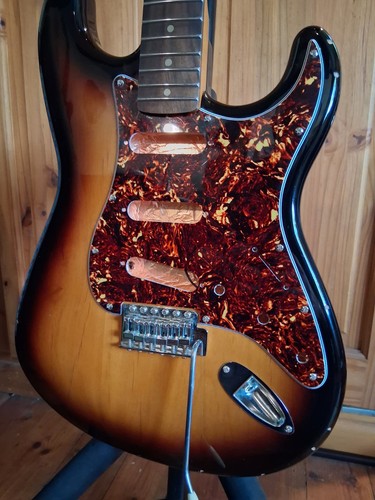 Diy stratocaster project - diy,