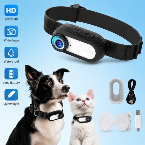 Wireless cat collar camera - collar, for