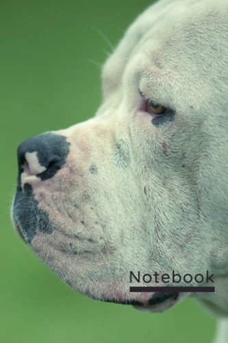 American bulldog notebook - american,