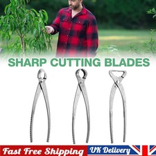 210MM Carbon Steel Bonsai