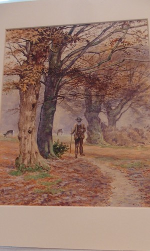 Watercolour old man - old,