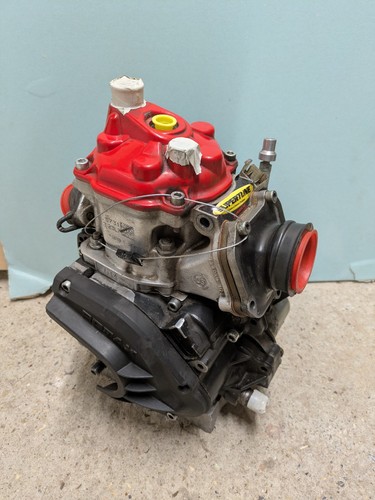 Junior rotax evo 125cc motor - rotax,