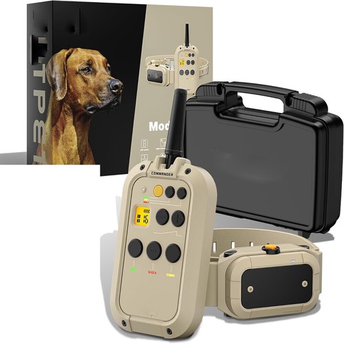 2in1 dog shock - dog, training