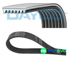 DAYCO V-RIBBED BELT 7PK1705DT
