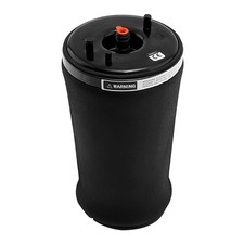 Rear Left Suspension Air