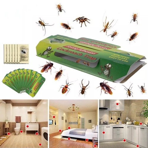 40x cockroach traps killer - traps,