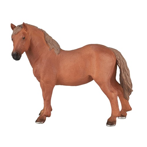 Mojo suffolk punch - mojo,
