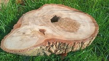 Oak log slice centerpiece