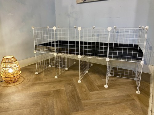 New 4x2 guinea pig - pig, cage