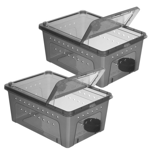 Snake box container leopard - container,