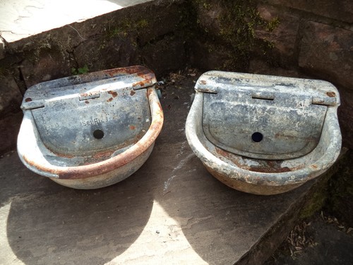 Water bowl cattle sheep - water,