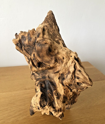 Bog wood aquarium - wood, /