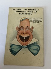 Blackpool. Postcard. Woodbine