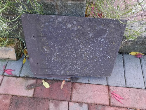 Want buy reclaimed - to,