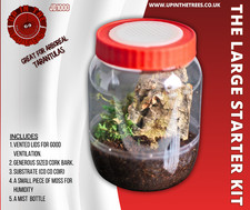 enclosure spiderling tarantula terrarium housing