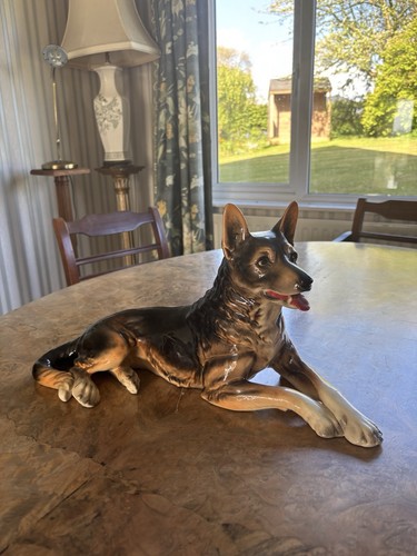 Large goebel german shepherd - goebel,