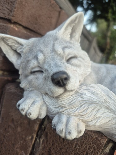Arctic fox cub - garden, ornament