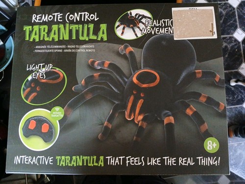 Creepy creatures tarantula - creepy,