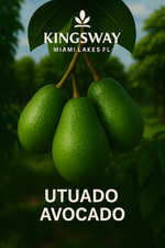 Rare Zill Authentic DWARF