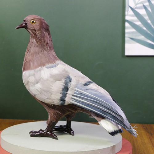 Simulation pigeon model dove - pigeon,