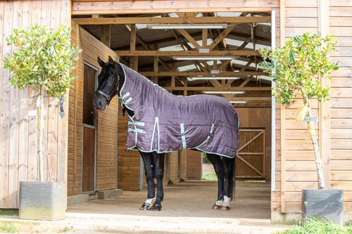 200g stable horse - 200g,