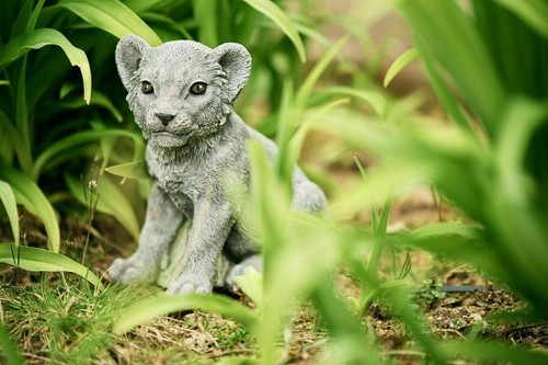 Stone figure lion - stone, cub