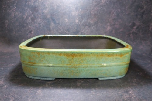 Genuine japanese bonsai pot - genuine,