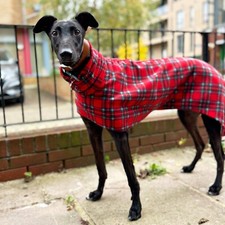 dog Snood jumper fleece house coat italian whippet lurcher red tartan 26”