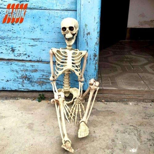 Halloween human skeleton - halloween,
