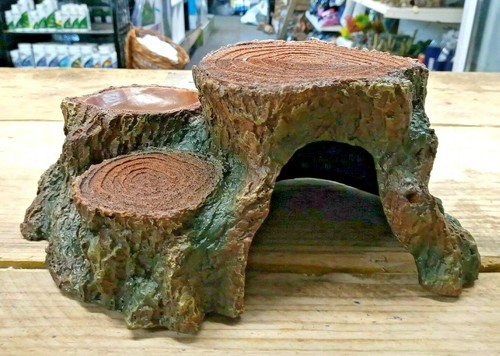 Gecko reptile lizard wood - reptile, cave