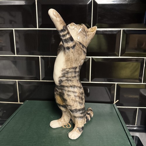 Signed winstanley cat - cat, size