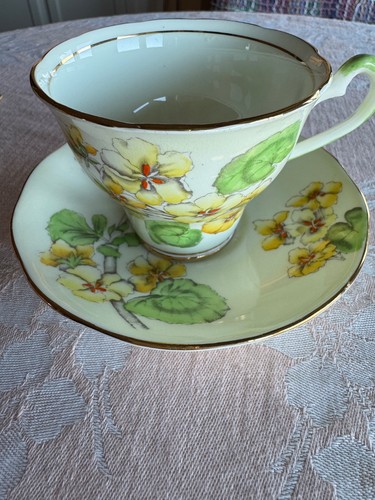Tea cup saucer - cup, bone