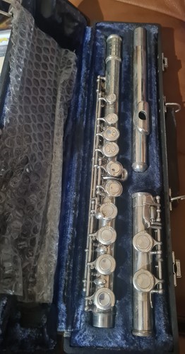 Trevor james tx flute - trevor,