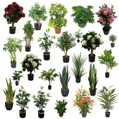 Artificial realistic plants - artificial,