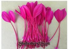 LONG HOT PINK FEATHERS