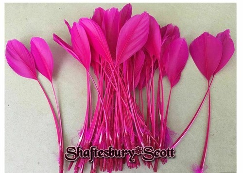 Long hot pink feathers - hot,