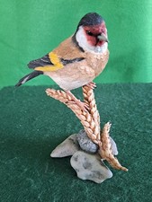 Country Artists Bird  03412