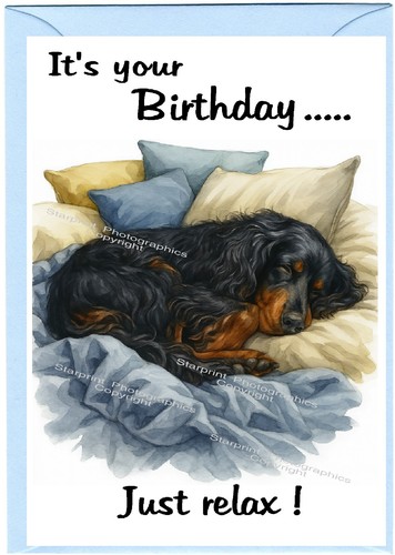 Gordon setter dog birthday - gordon,
