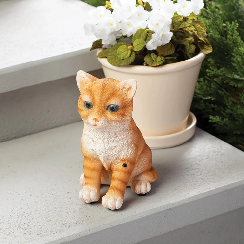 Motion sensor meowing orange - motion,