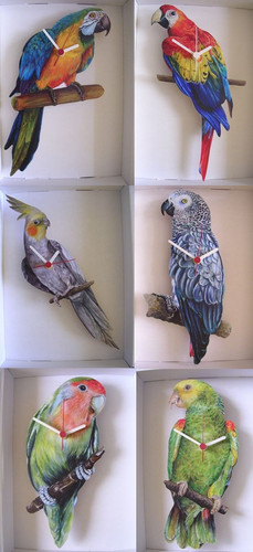 Parrot bird wall clock new - wall, &