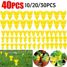 40PCS Fruit Fly Traps Yellow