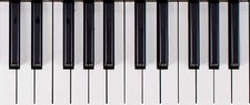 Roland JD800 / U20 - Replacement Weighted Key and Spring (No Red Glue)