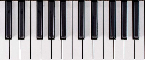 Roland jd800 u20 - /,