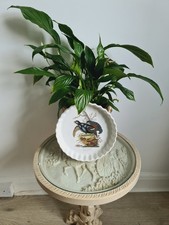 Portmeirion England Black Cock Pie Dish Quiche Plate Ceremic Birds of Britain 9"