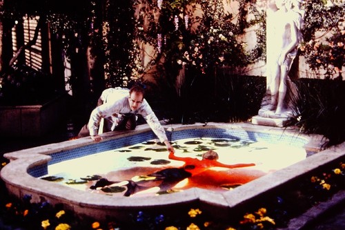 35mm slide transparency - 35mm,