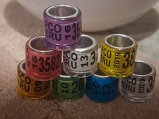 8xRacing Pigeon Rings - from peru